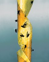FREIE ARBEITEN